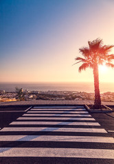 Fototapeta na wymiar Crosswalk, palm and sunset
