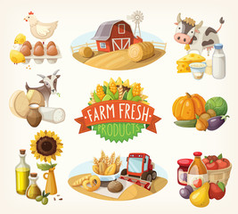 Set of farm fresh illustrations