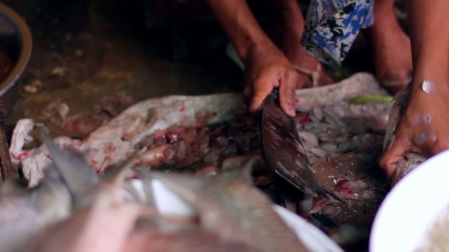 cutting fish at fish market in India