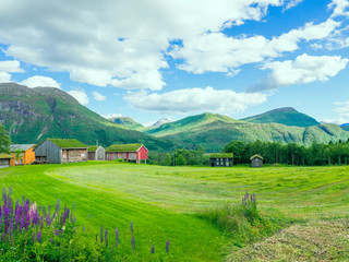 Норвежская деревня на фоне зеленого луга