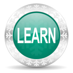 learn green icon, christmas button