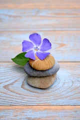 Foto auf Acrylglas Drei Zen-Steine mit lila Blume auf Holz © trinetuzun
