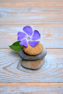 Drie zenstenen met paarse bloem op hout