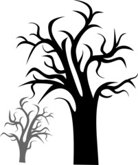 Trees  vector illustration