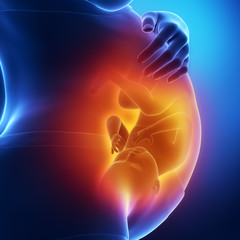 Pregnancy concept with blue woman and fetus