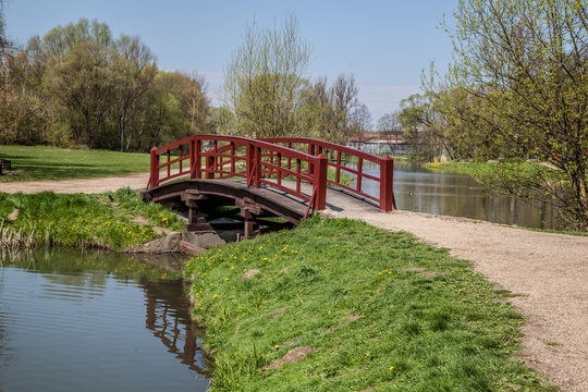 Skavina