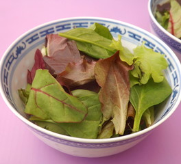 gemischter salat