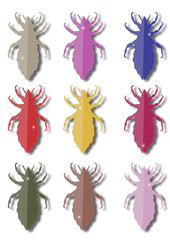 Palette de poux colorés