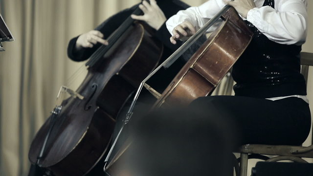 Two cellist playing fingers on cello at the concert