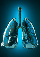 Human Lungs isolated.
