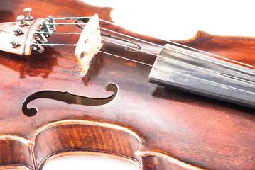 Violin or fiddle