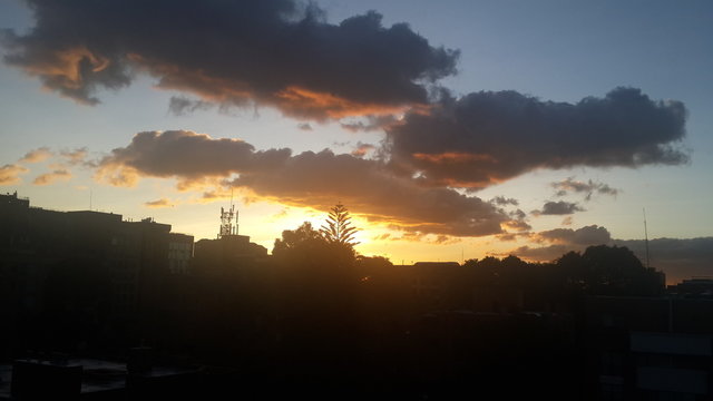 Sol de los venados