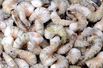 Fresh tiger shrimps with ice
