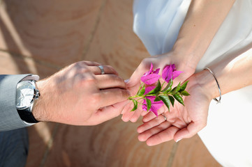giving a lilac flower groom to the bride to offer his love