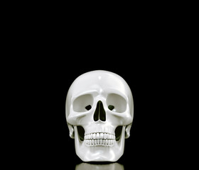 Skull on black background.