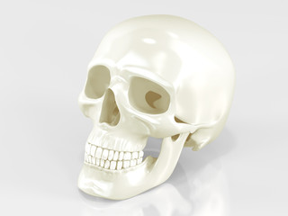 Skull on white background. High resolution 3d render.