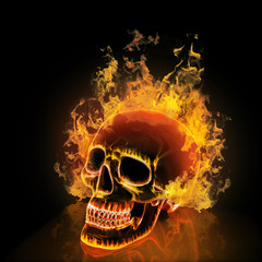 Skull on black background. High resolution 3d render. © Vitte Yevhen