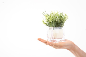 화분을 들고 있는 손 클로즈업