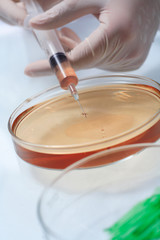 과학 실험하는 손 클로즈업