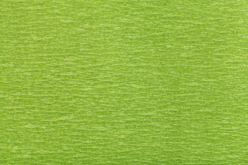 Obraz premium background from fibrous structure green paper