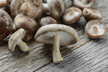 Shitake Mushroom on Wood Background