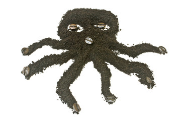 Coffee grounds, octopus  shape.