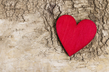Red heart on bark background. Symbol of love