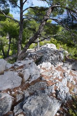 Les calanques de Marseille et Cassis 