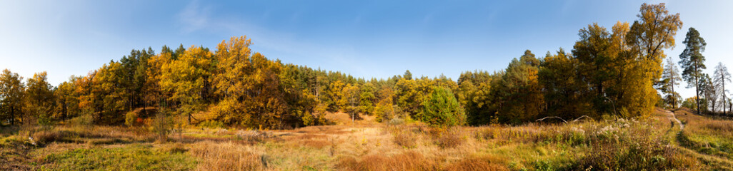autumn forest in Russia