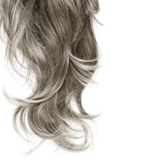 Hair fragment over the white
