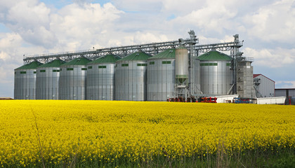 Canola oil silo © markobe