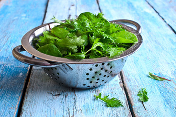 Mixed lettuce leaves