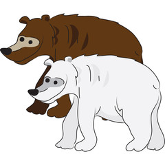 orso