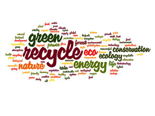 Conceptual ecology word cloud