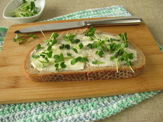Brot mit Radieschen Sprossen