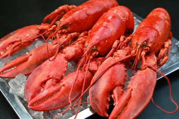 ロブスター