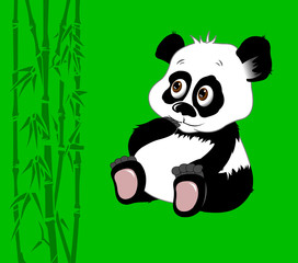 panda card
