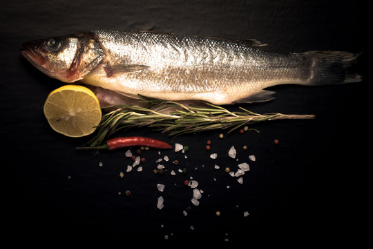 Fresh sea fish lying on dark background with spices. Space for t