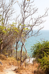 Seacoast in Thailand