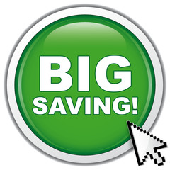 BIG SAVING! ICON