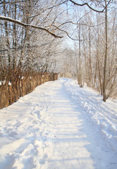 Fototapeta premium winter walkway