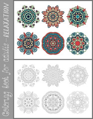 coloring book page for adults - flower paisley design