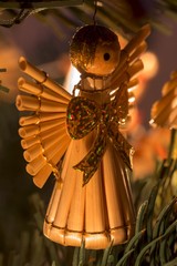 Fototapeta premium Christmas