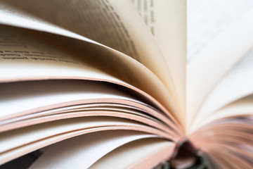 Detail of Turning Over Book Pages