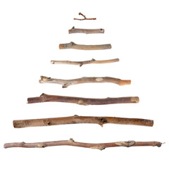 Dry tree branches isolated on white