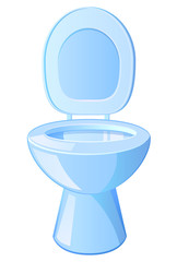 Water closet or flush toilet