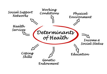 Determinants of Health