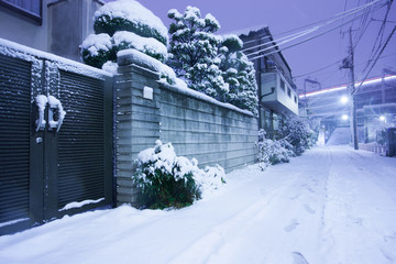 東京の大雪の夜　