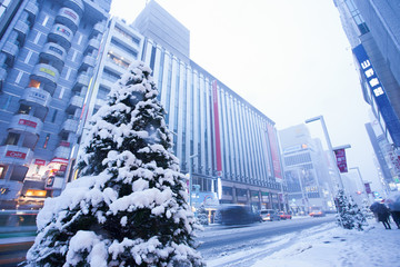 大雪の銀座