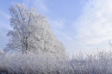 Мороз в хрустальные наряды